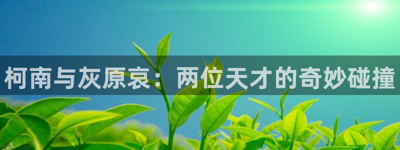 汗汗漫画阅读无限下拉式：柯南与灰原哀：两位天才的奇妙碰撞
