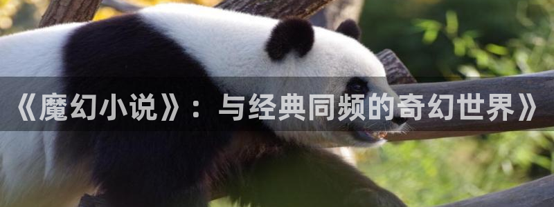 汗汗漫画免费观看在线：《魔幻小说》：与经典同频的奇幻世界》