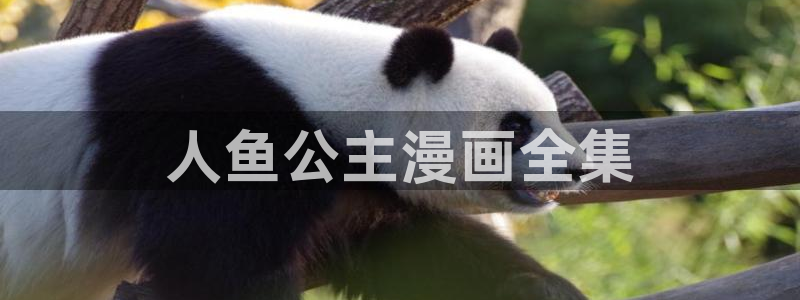汗汗漫画肉：人鱼公主漫画全集
