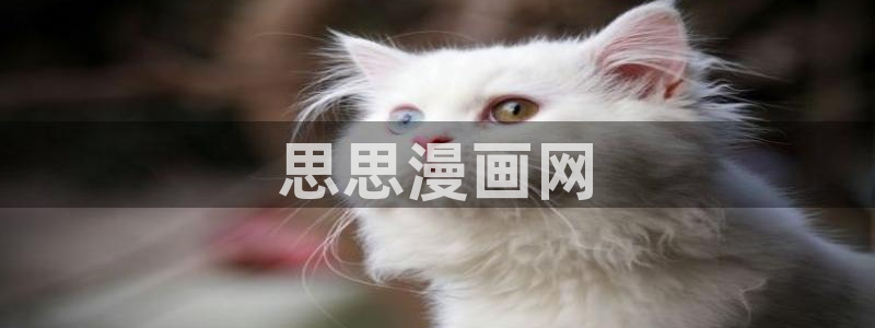 韩漫免费汗汗漫画：思思漫画网