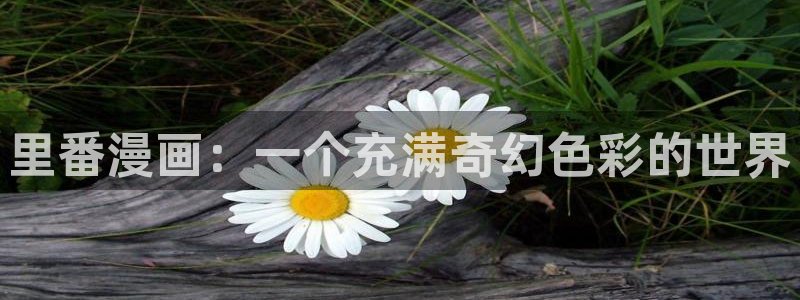 汗汗汗漫画sss：里番漫画：一个充满奇幻色彩的世界