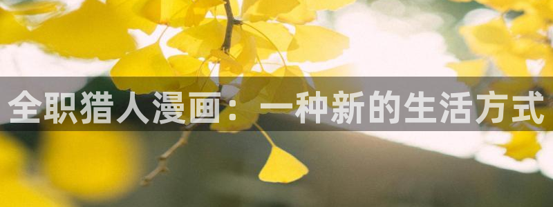 yy汗汗漫画在线观看：全职猎人漫画：一种新的生活方式