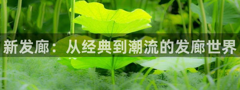 汗汗漫画在线观看网站：新发廊：从经典到潮流的发廊世界