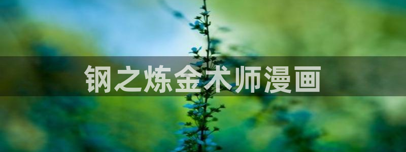 汗汗漫画首页登录羞羞漫画：钢之炼金术师漫画