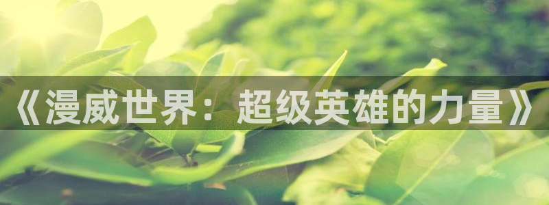 汗汗漫画ssss：《漫威世界：超级英雄的力量》