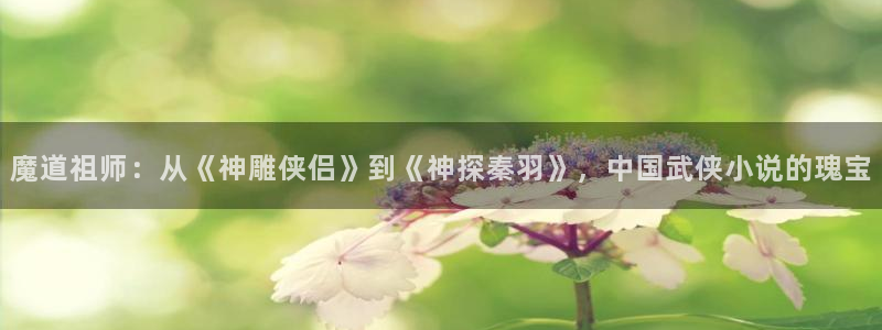 歪歪漫画羞羞漫画汗汗漫画：魔道祖师：从《神雕侠侣》到《神探秦羽》，中国武侠小说的瑰宝